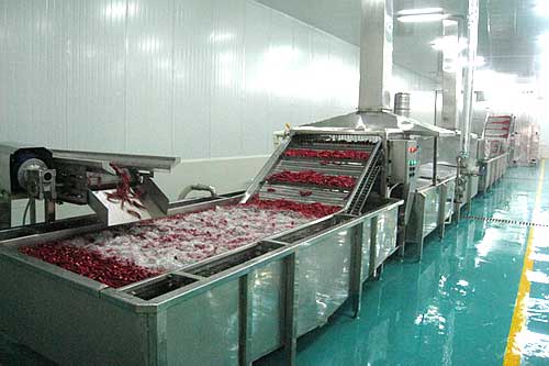 臭氧應用于食品行業(yè)殺菌消毒